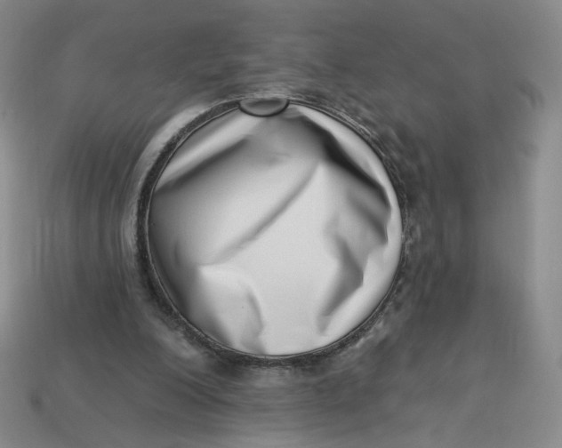 X0000113320200200910051132