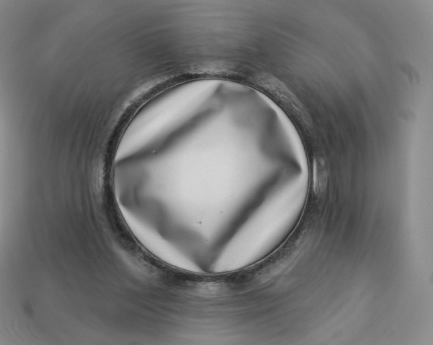 X0000113320204200910051132