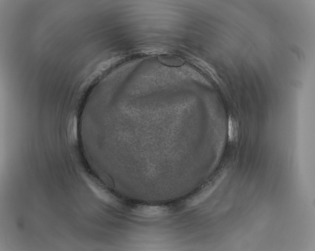 X0000113320205200910051132