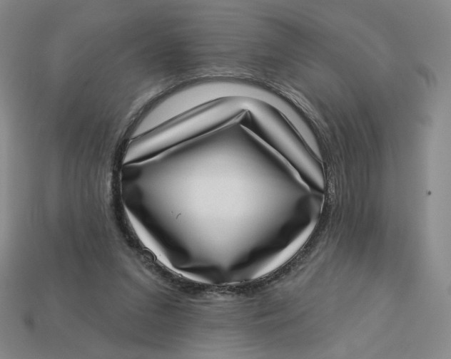 X0000113320207200910051132