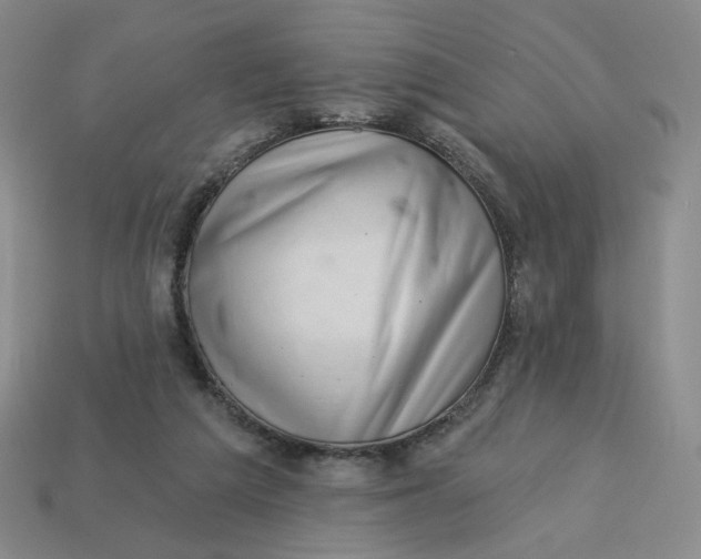 X0000113320209200910051132