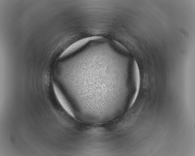 X0000113320210200910051132