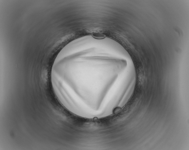 X0000113320211200910051132