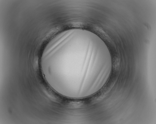 X0000113320213200910051132