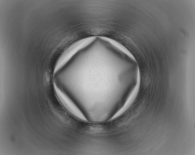 X0000113320214200910051132