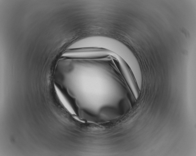 X0000113320215200910051132