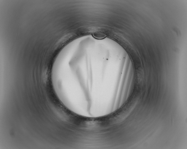 X0000113320216200910051132