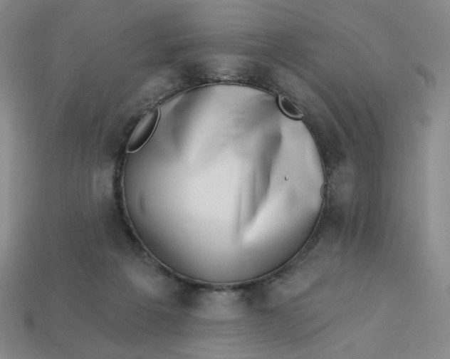 X0000113320217200910051132