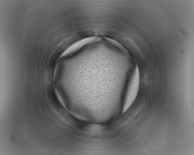 X0000113320218200910051132