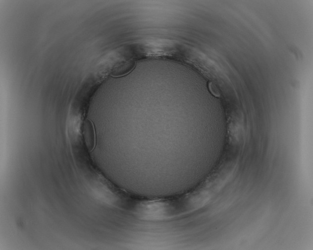 X0000113320219200910051132