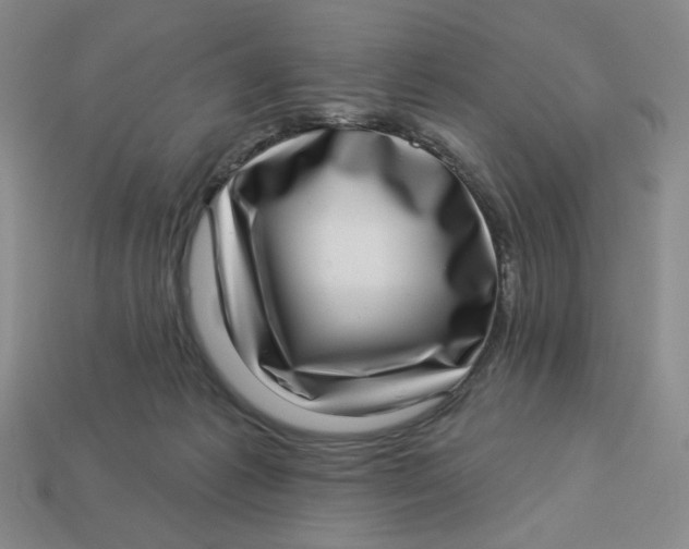 X0000113320221200910051132