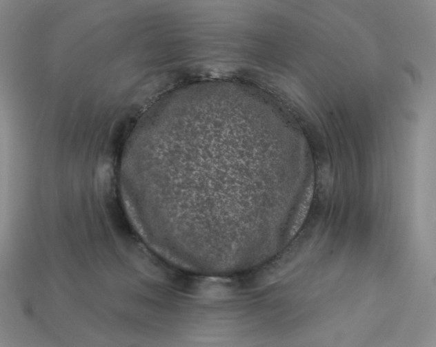 X0000113320222200910051132