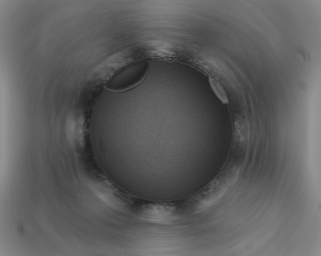 X0000113320223200910051132