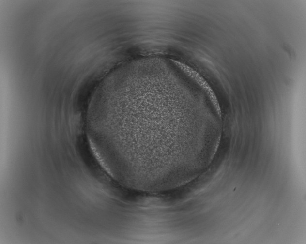 X0000113320224200910051132