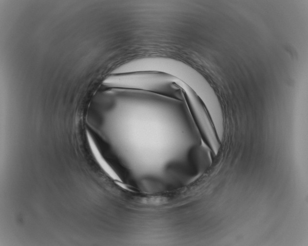 X0000113320225200910051132