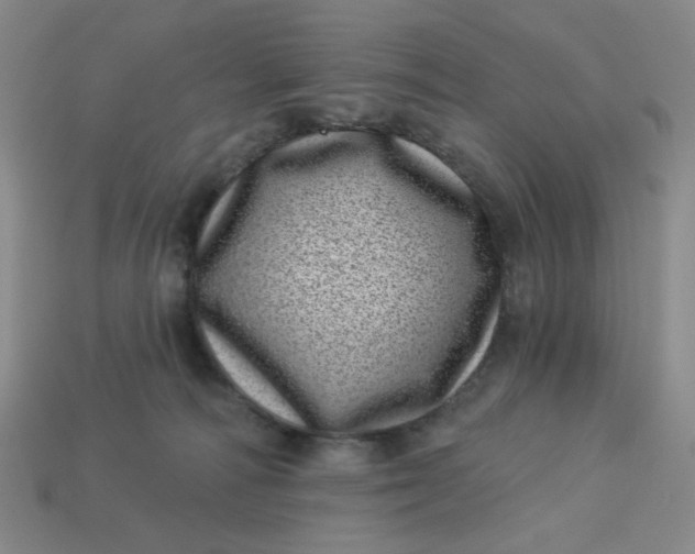 X0000113320226200910051132