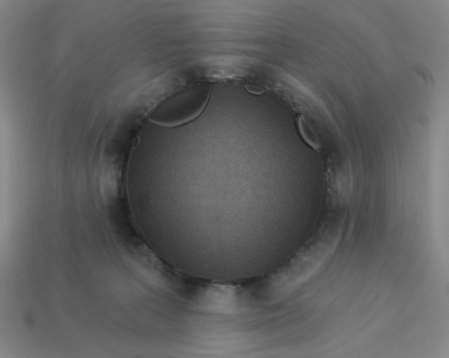 X0000113320227200910051132