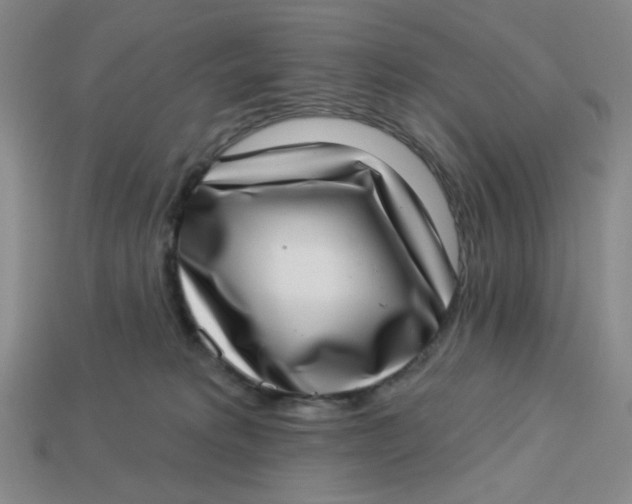 X0000113320229200910051132