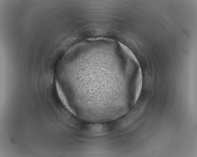 X0000113320230200910051132