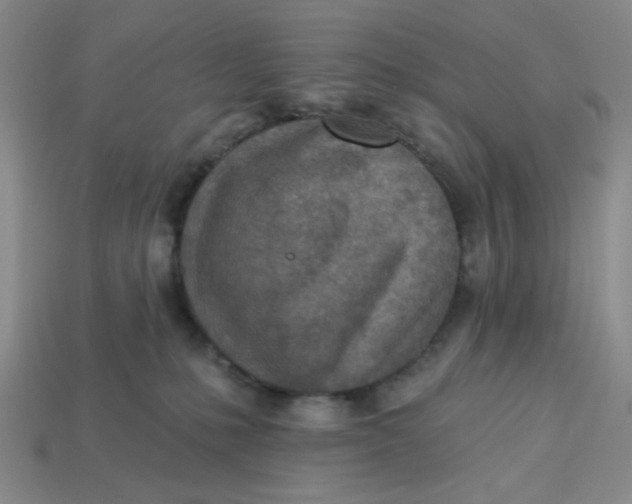 X0000113320231200910051132