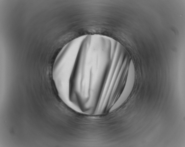 X0000113320233200910051132