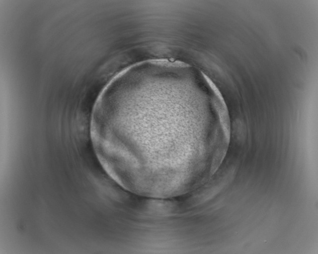 X0000113320234200910051132