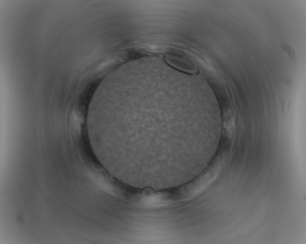 X0000113320235200910051131