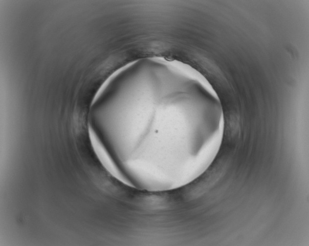 X0000113320236200910051131