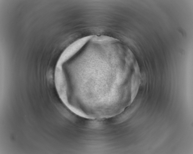 X0000113320238200910051131