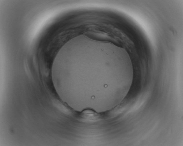 X0000113320239200910051131