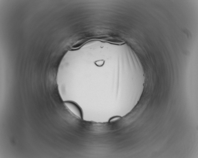 X0000113320240200910051131