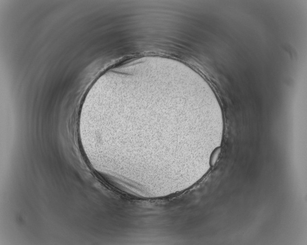 X0000113320241200910051131