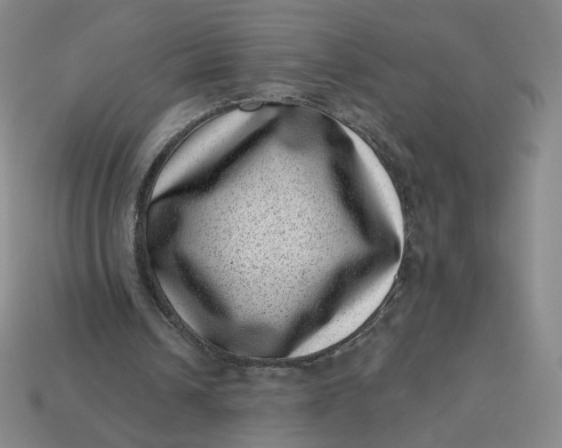 X0000113320242200910051131