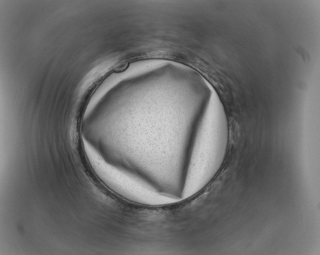 X0000113320245200910051131