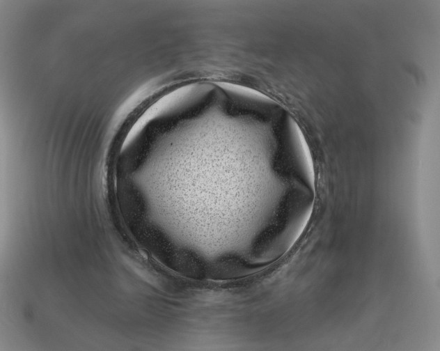 X0000113320246200910051131