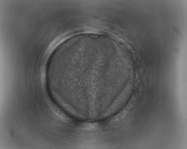 X0000113320247200910051131