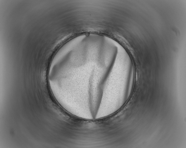 X0000113320249200910051131