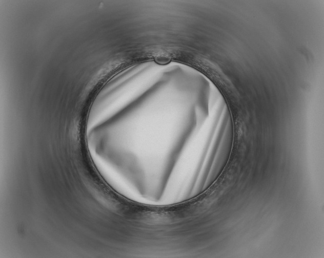 X0000113320250200910051131