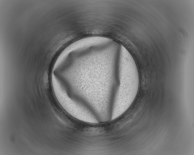 X0000113320251200910051131