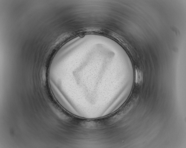 X0000113320253200910051131