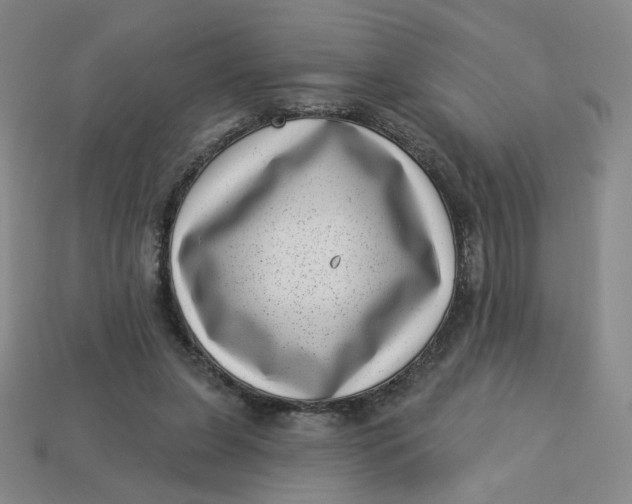 X0000113320255200910051131