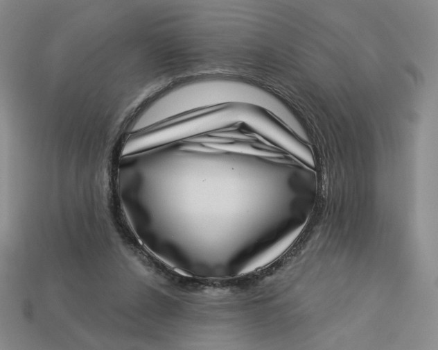 X0000113320256200910051131