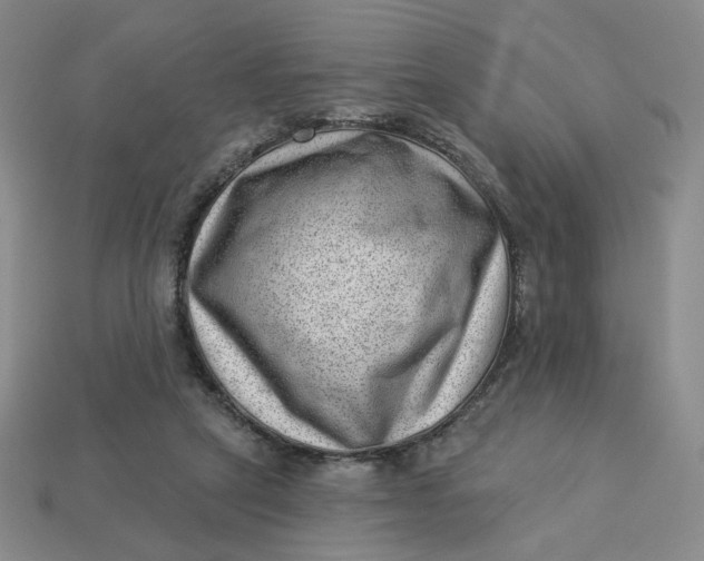 X0000113320257200910051131