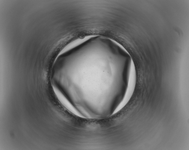 X0000113320258200910051131