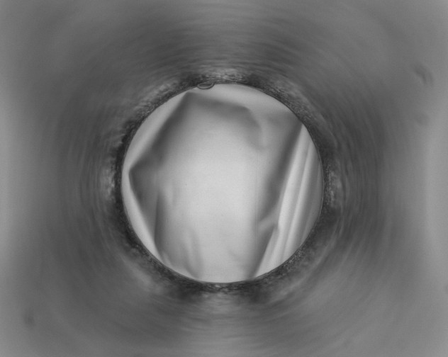 X0000113320259200910051131