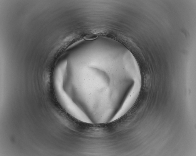 X0000113320260200910051131