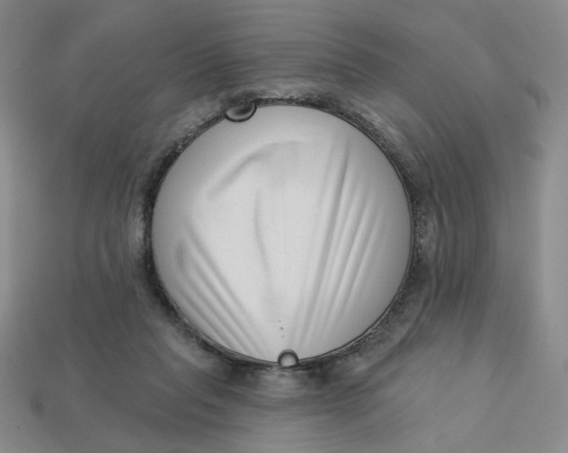 X0000113320261200910051131