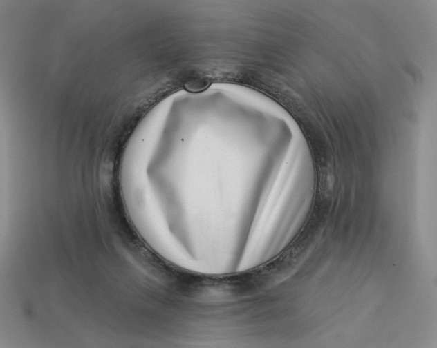 X0000113320263200910051131