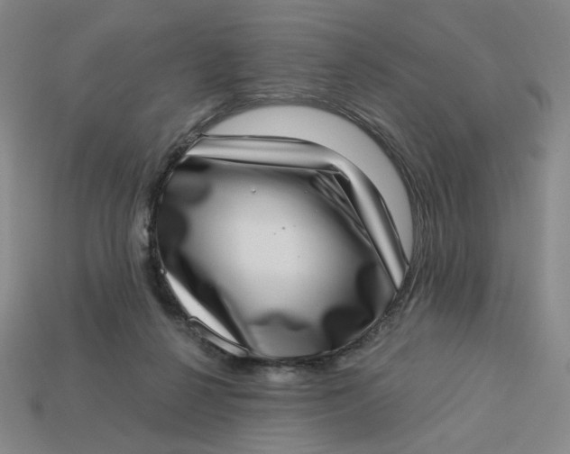 X0000113320264200910051131