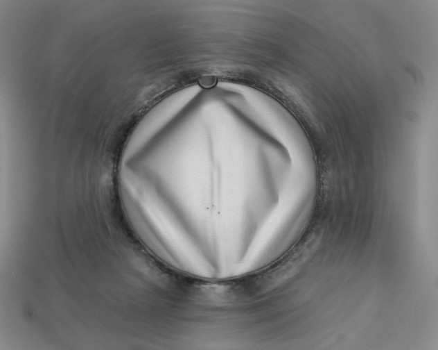 X0000113320265200910051131